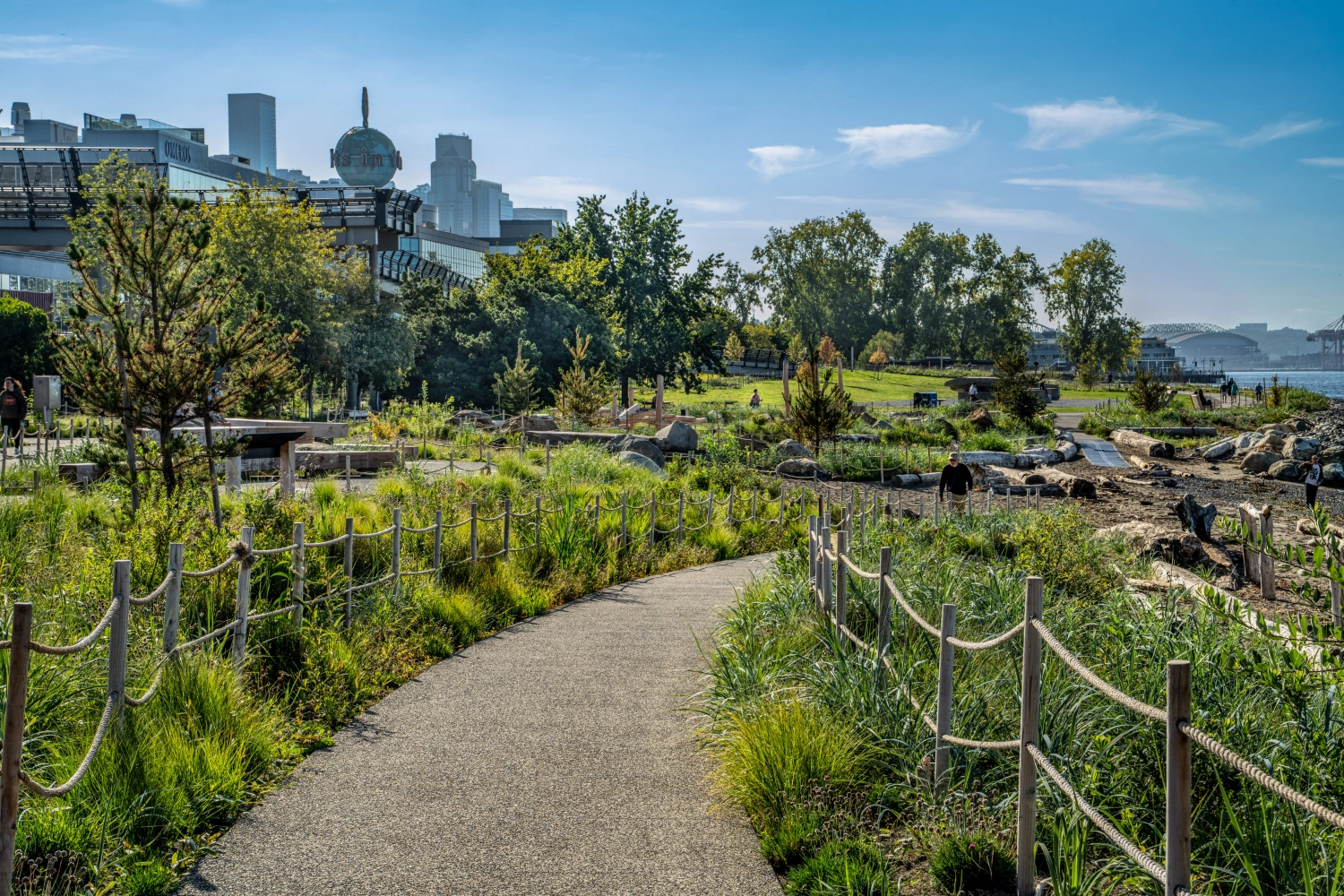 A before and after photo showing a freshly paved path with new plantings on either side.