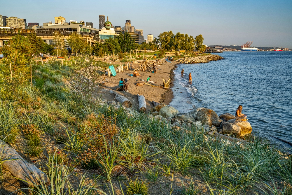 A before and after photo showing a much wider beach with less driftwood and rocks.