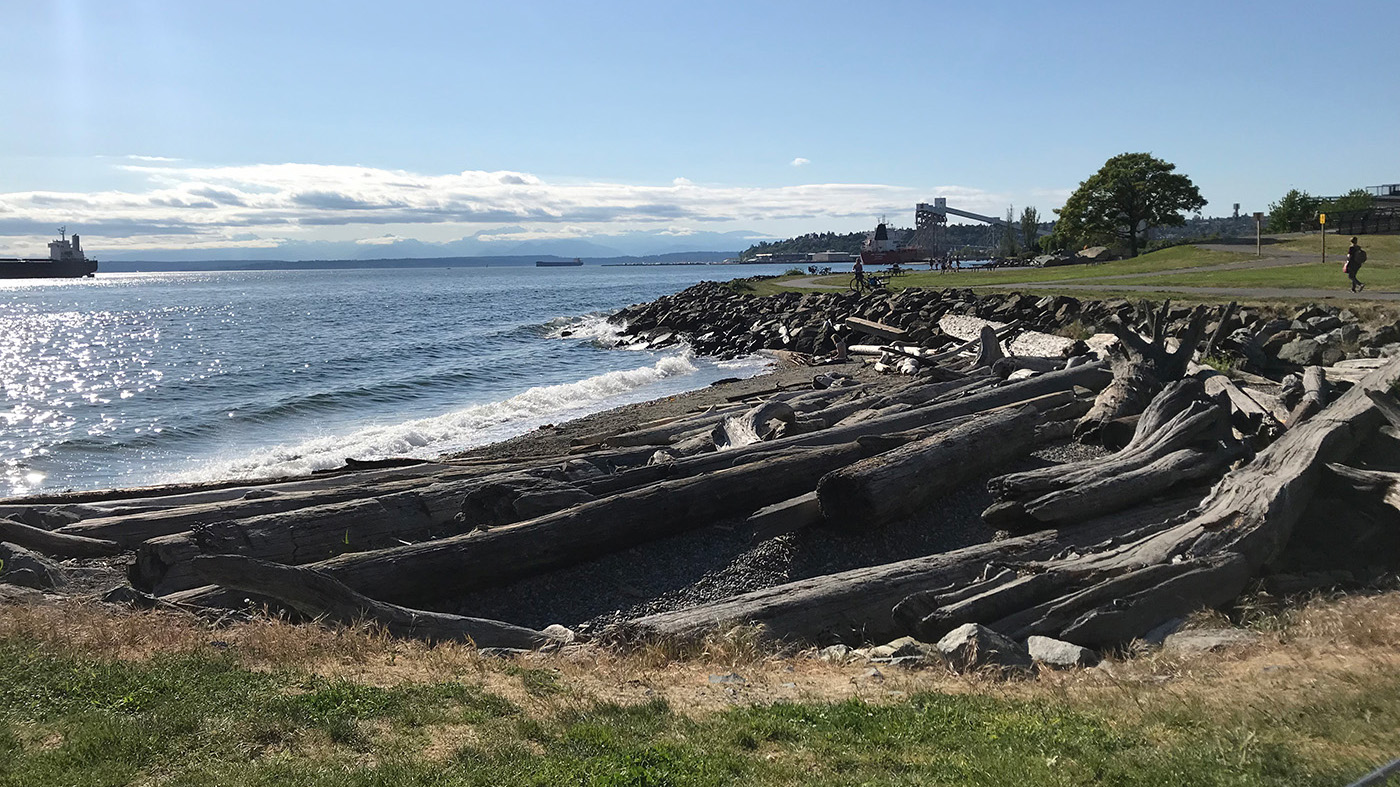  A photo of the existing Myrtle Edwards Park beach full of driftwood.