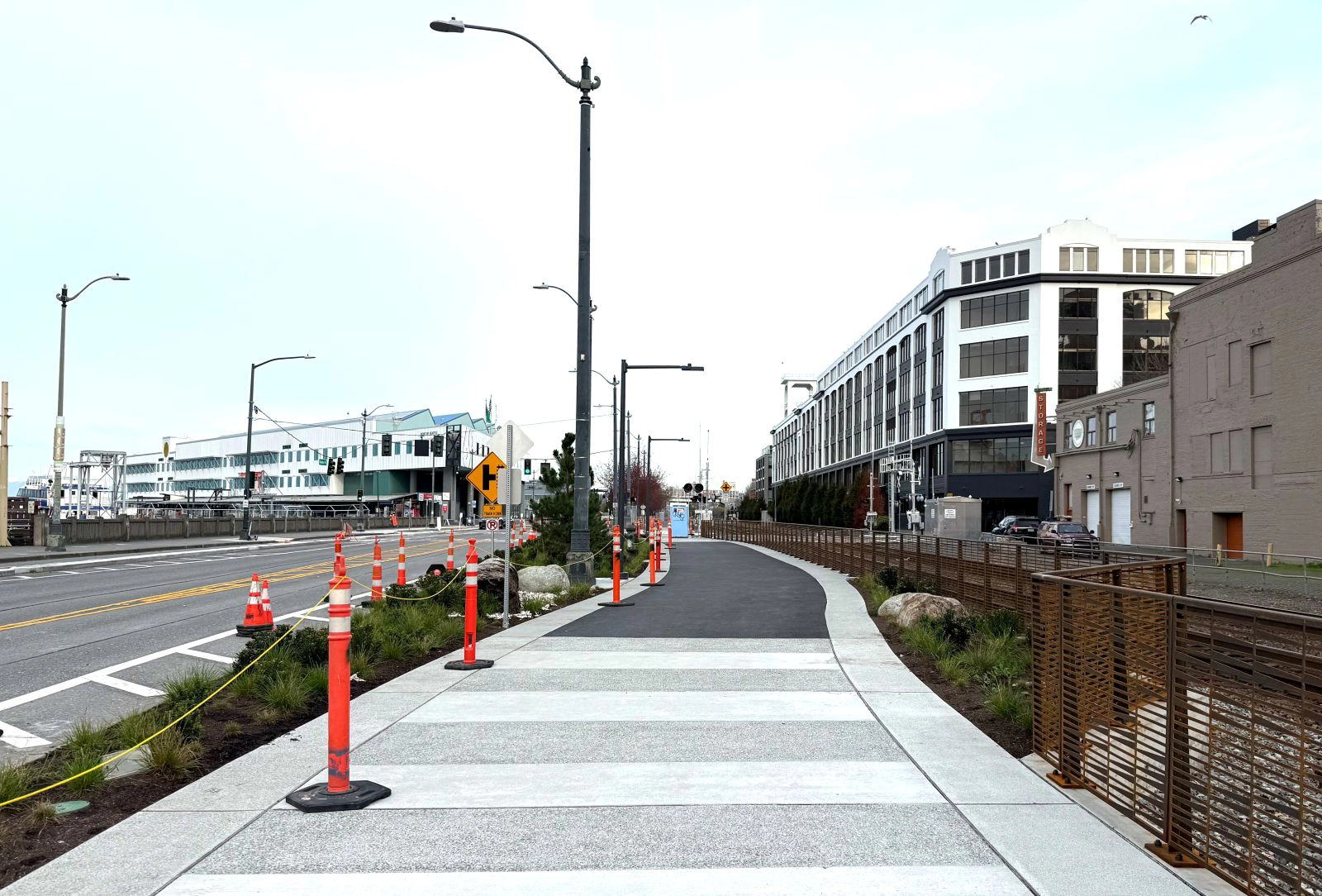 Looking north towards Pier 69, the paved greenway runs on the east side of Alaskan Way with shrubs and plants lining the trail between the street.