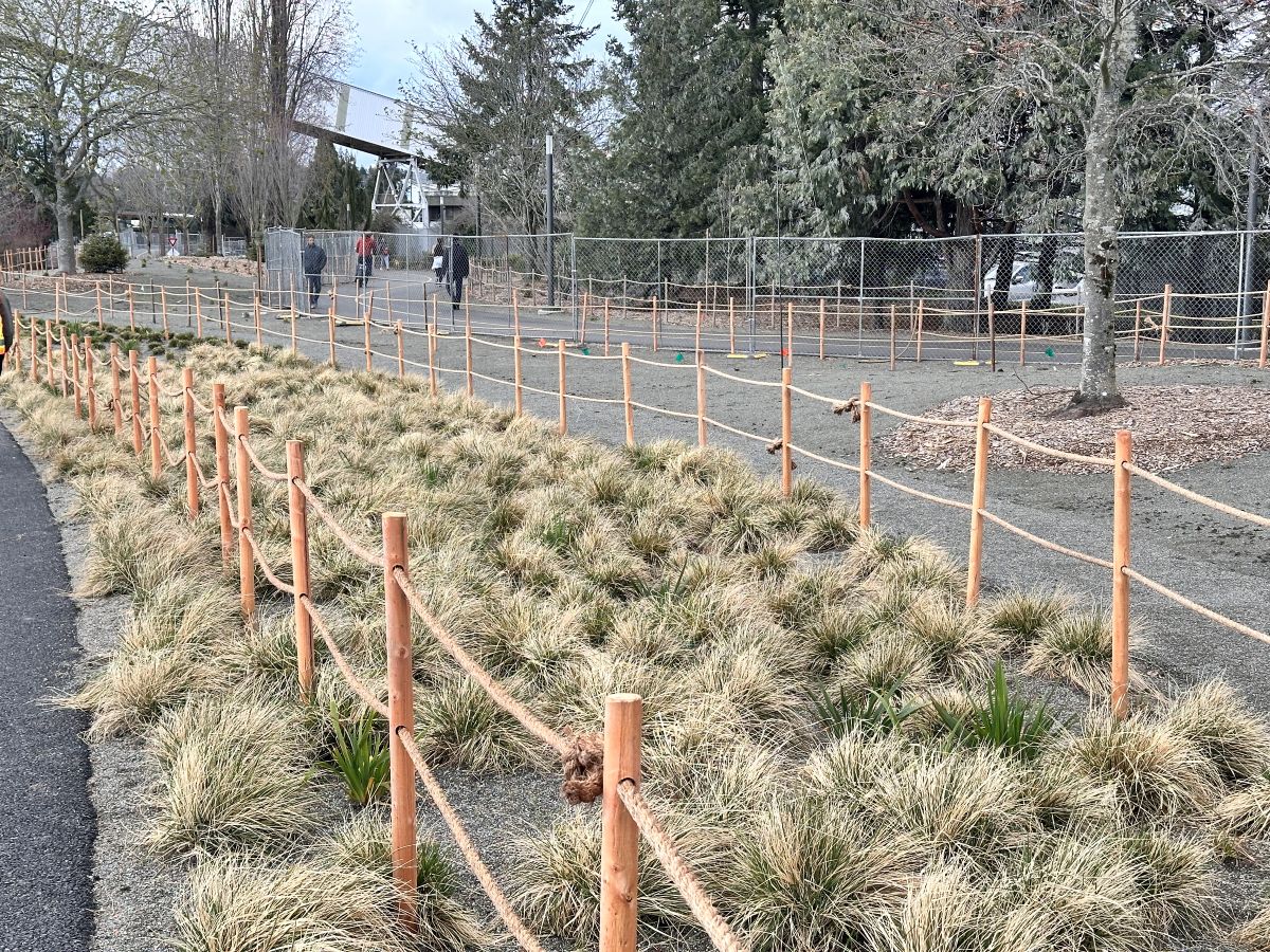 Post and rope fences protecting new native plants