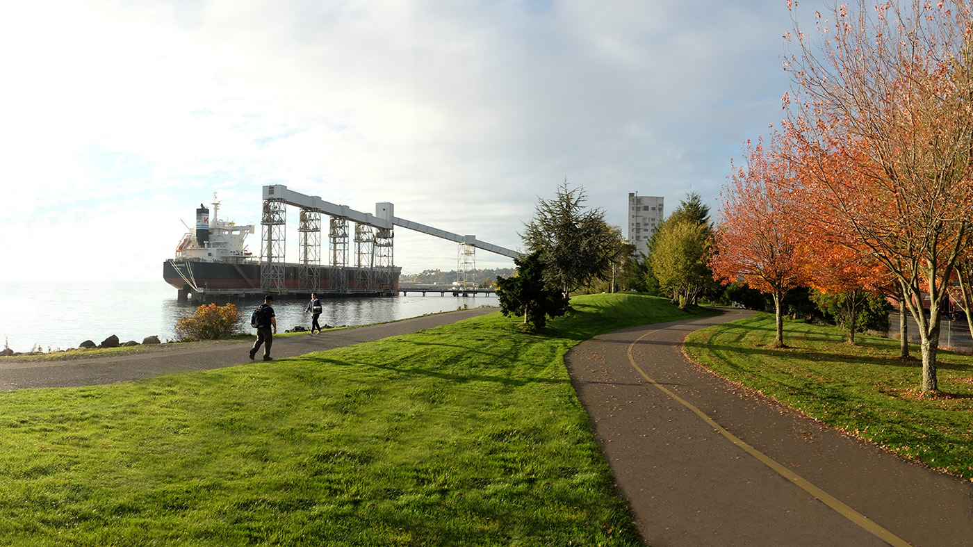 A photo of the existing Centennial Park showing the bike path, walking path and grass area.