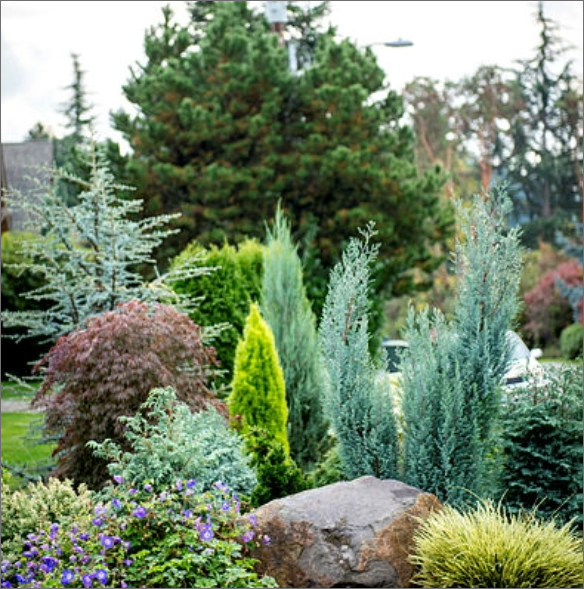 Photo of various shrubs, trees and flowers planted along the corridor.