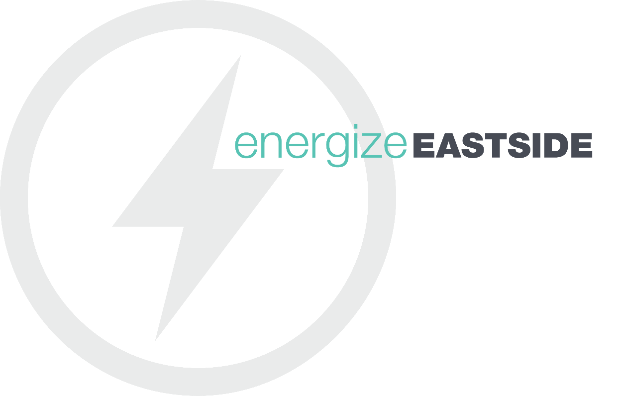 Energize Eastside logo